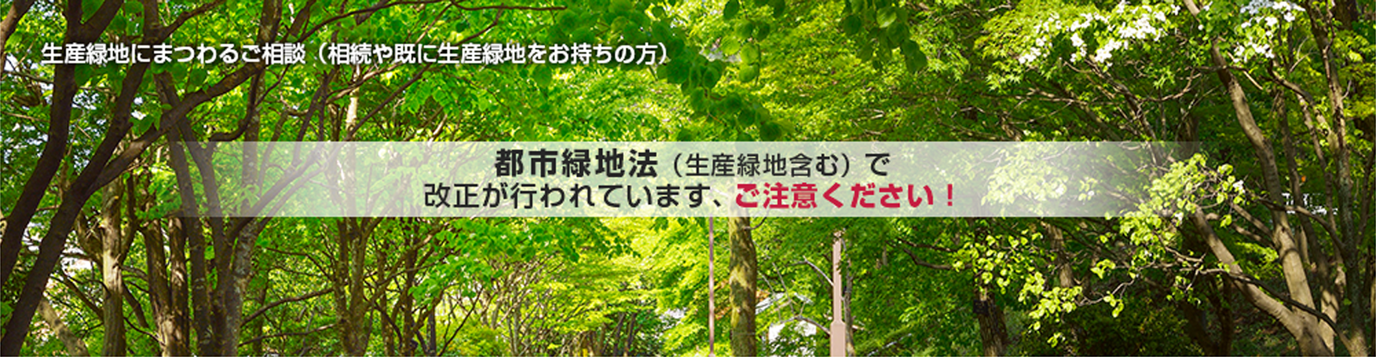 生産緑地にまつわるご相談（相続や既に生産緑地をお持ちの方）